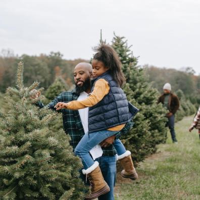 picture of a father and daughter choosing a christmas tree