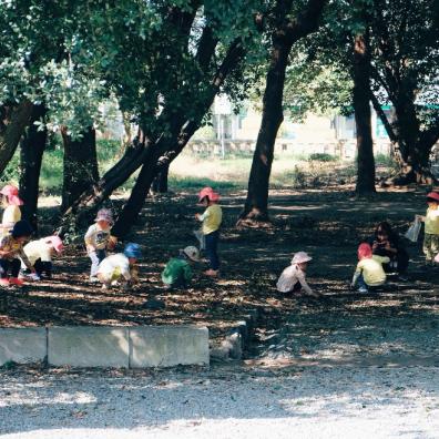 picture of children learning outside at a forest school