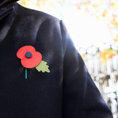 picture of the poppy appeal
