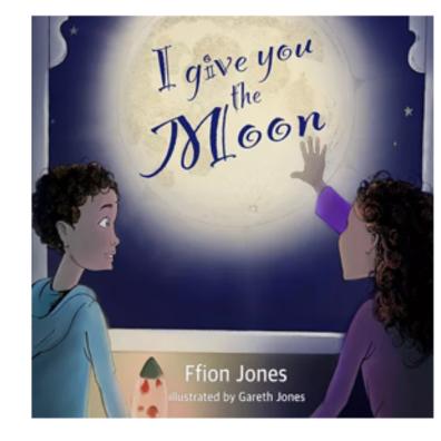 picture of i give you the moon book for terminally ill children