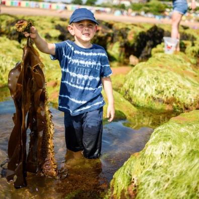 picture of a boy on the beach holding a big bit of seaweed