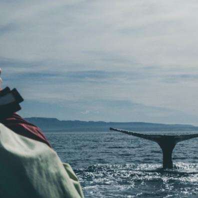 picture of people whale watching