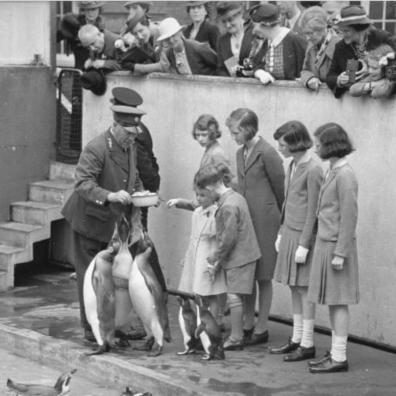 picture of the queen as a child zsl zoo london