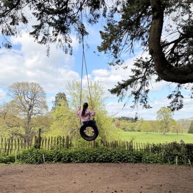 picture of a child on a rope swing at Wildwood looking at a beautiful view